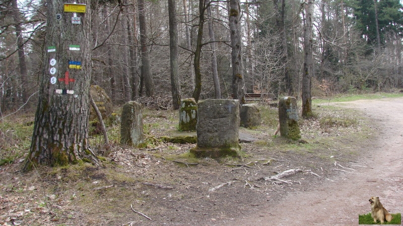 Ritterstein Nr. 238-4 Lolosruhe - Fünf Steine.JPG - Ritterstein Nr.238 Lolosruhe - Fünf Steine